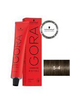 Schwarzkopf Igora Royal 60ml Ψυχρές και Μπεζ Αποχρώσεις