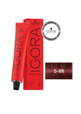 Schwarzkopf Igora Royal 60ml Κόκκινες & Βιολέ Αποχρώσεις