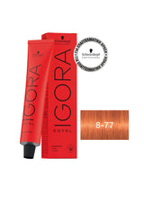 Schwarzkopf Igora Royal 60ml Χάλκινες Αποχρώσεις