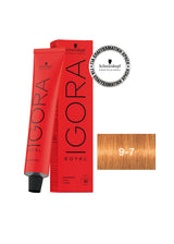 Schwarzkopf Igora Royal 60ml Χάλκινες Αποχρώσεις