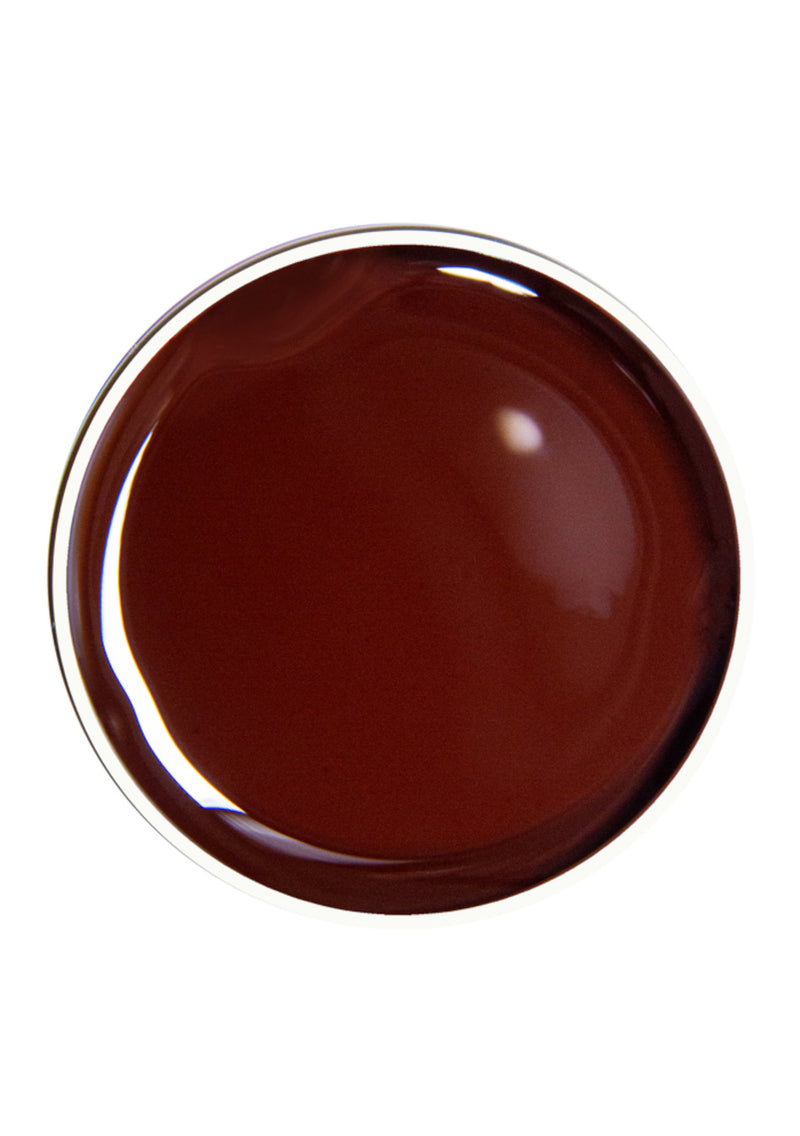 Alezori Painting Gel Brown 10g