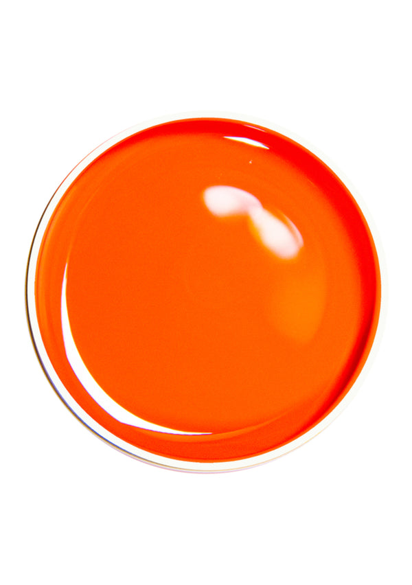 Alezori Painting Gel Orange 10g