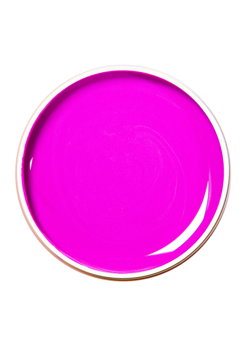 Alezori Painting Gel Purple 10g