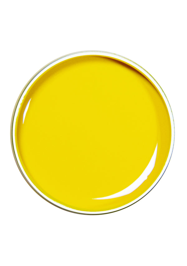 Alezori Painting Gel Yellow 10g