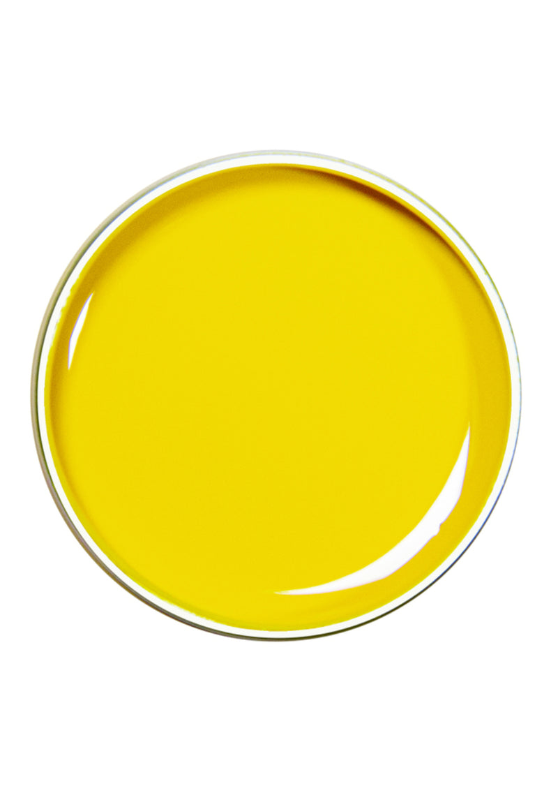 Alezori Painting Gel Yellow 10g