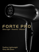 JRL Forte Pro 2020L Feather Dryer 2400W
