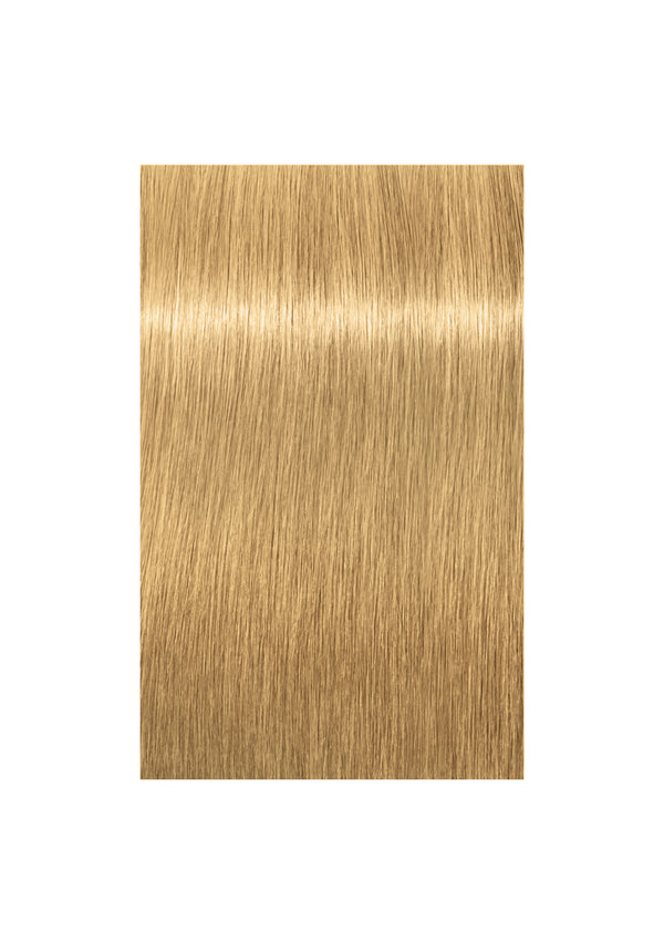 Indola Blonde Expert Highlift Special Blonde 60ml